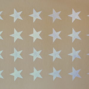 White Stars on Sand  2ft x 3ft $300.00